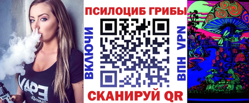 Купить где  Королёв  Галлюциногенные грибы Psilocybine cubensis